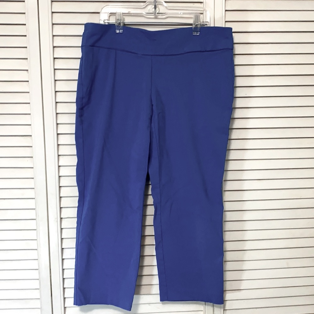 Alfani Blue Capri Pants Size 8